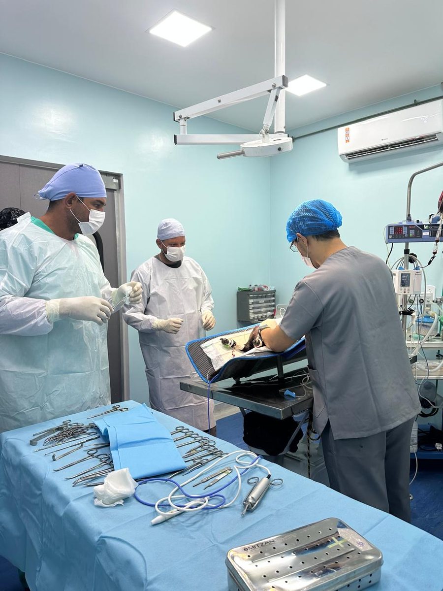 Centro cirúrgico da SaquaVet com equipe em procedimento