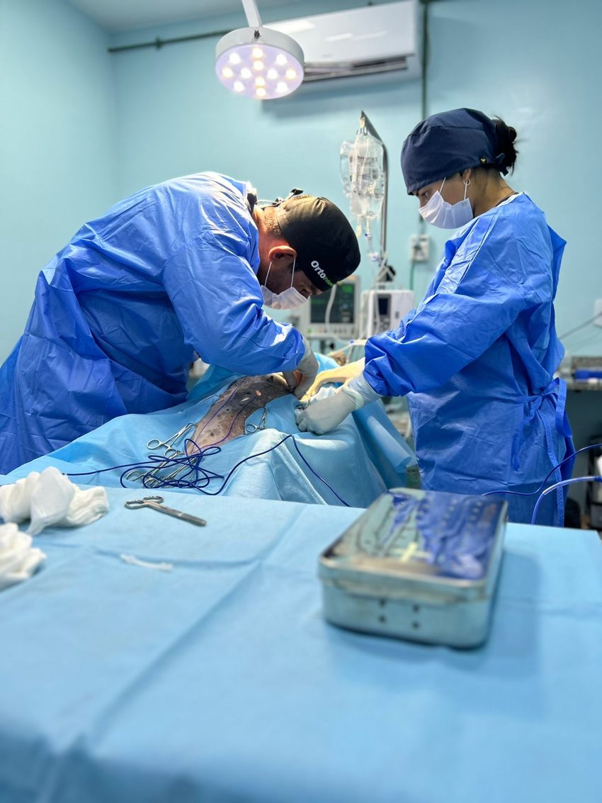 Procedimento de cirurgia ortopédica na SaquaVet